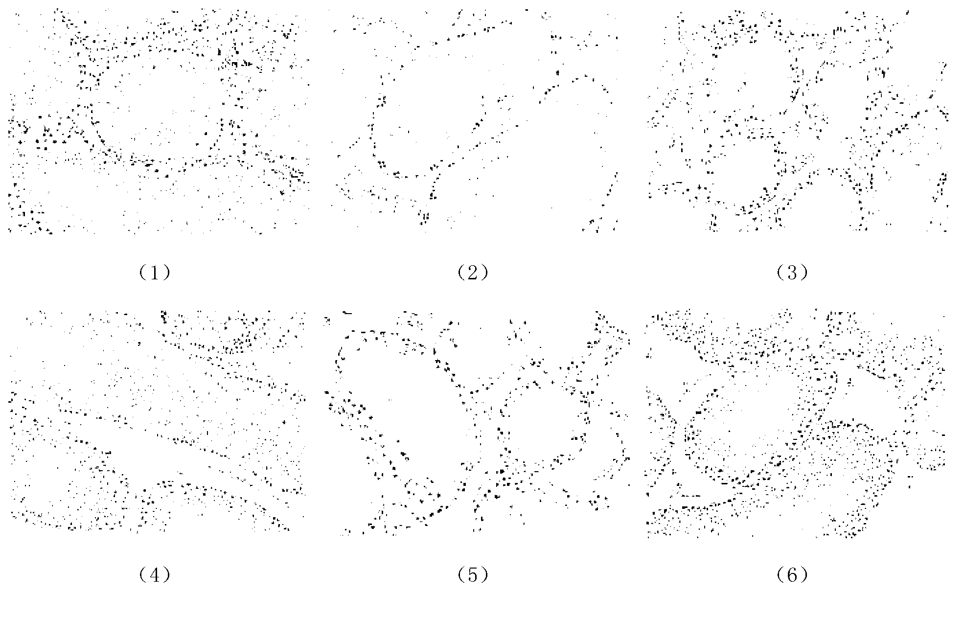 Compound medicine having radiation resisting and protecting effects