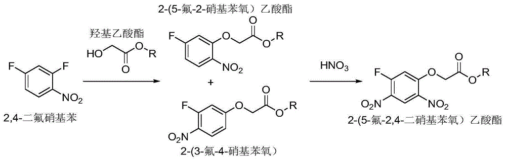 Synthetic method of 2-(5-fluoro-2,4-dinitrophenoxy)acetate