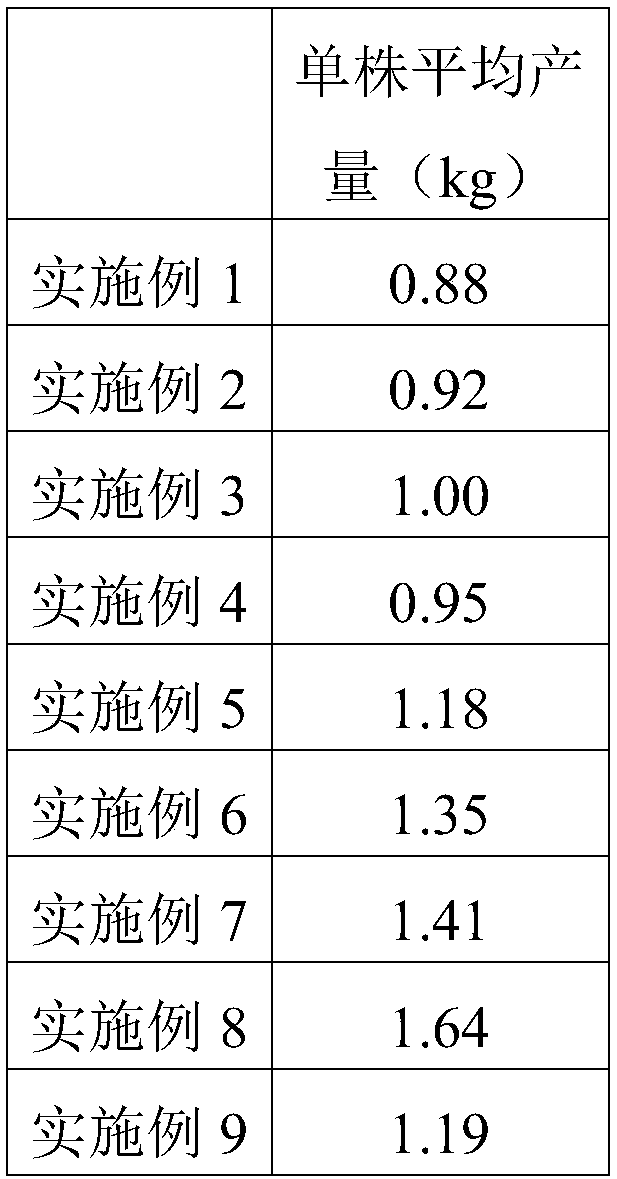 Green planting method for edible rose