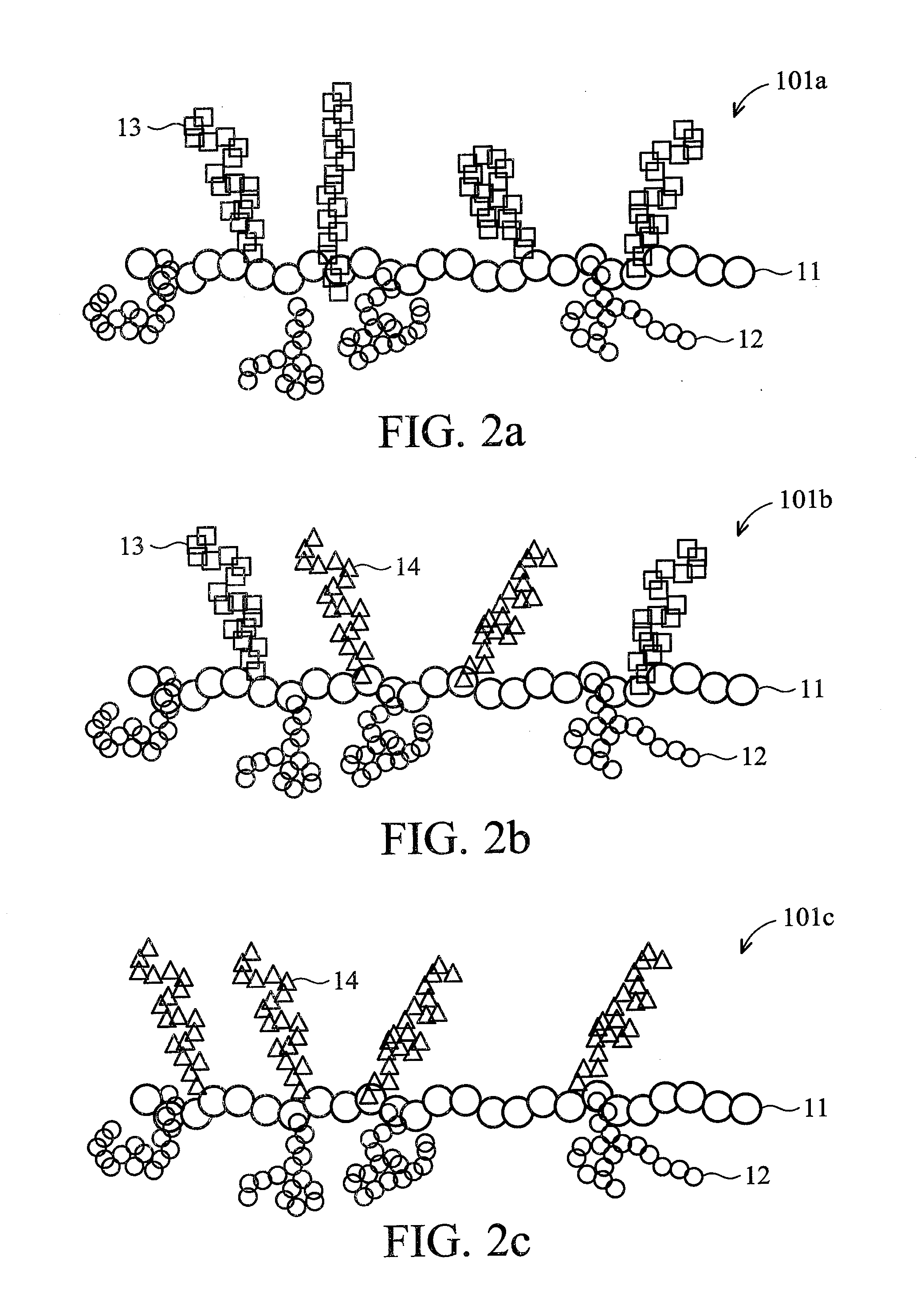 Brush polymer and medical use thereof