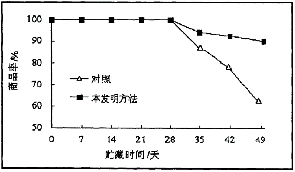 Pleurotus nebrodensis preservation method