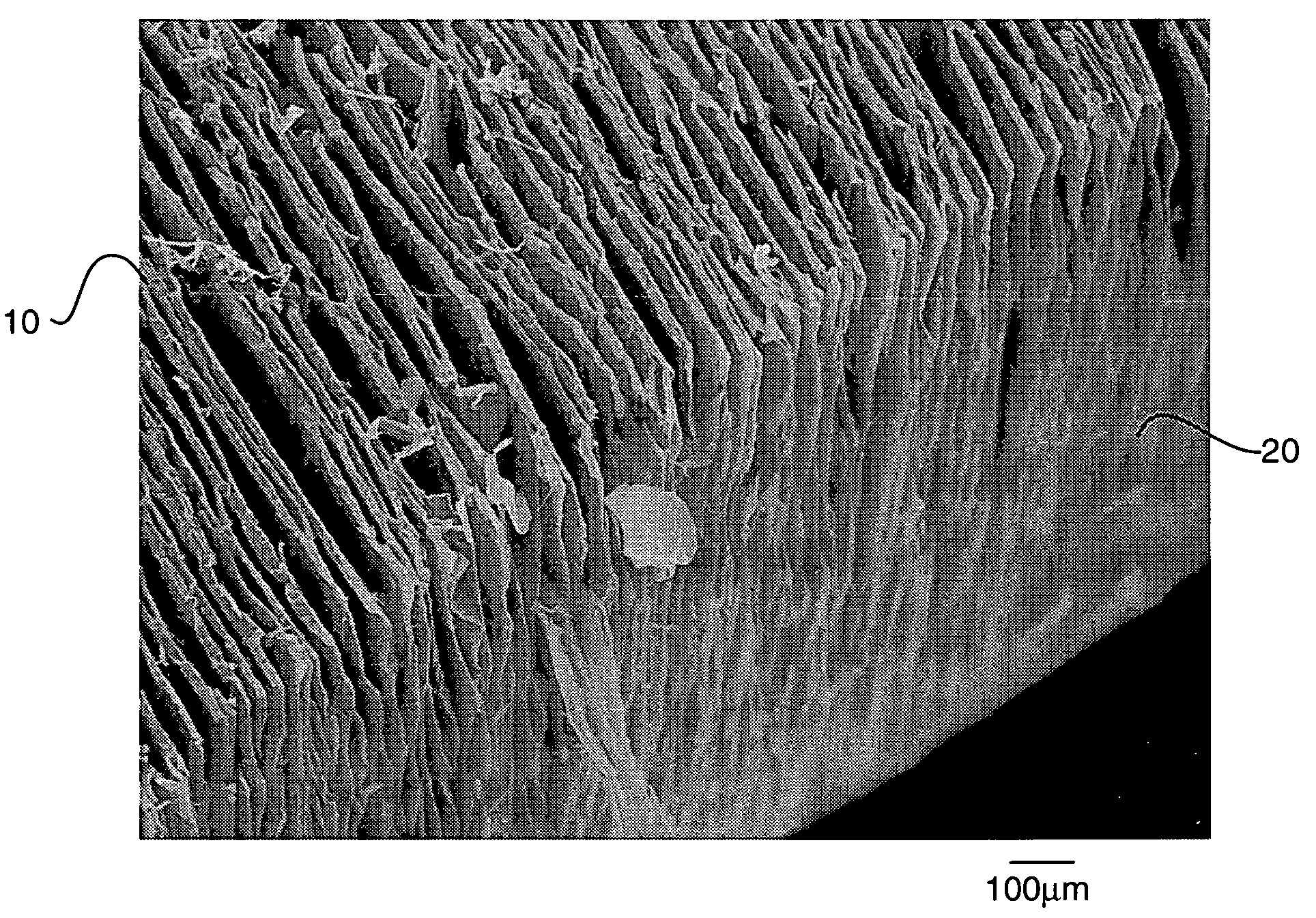 Material, article and method of preparing materials containing oriented anisotropic particles