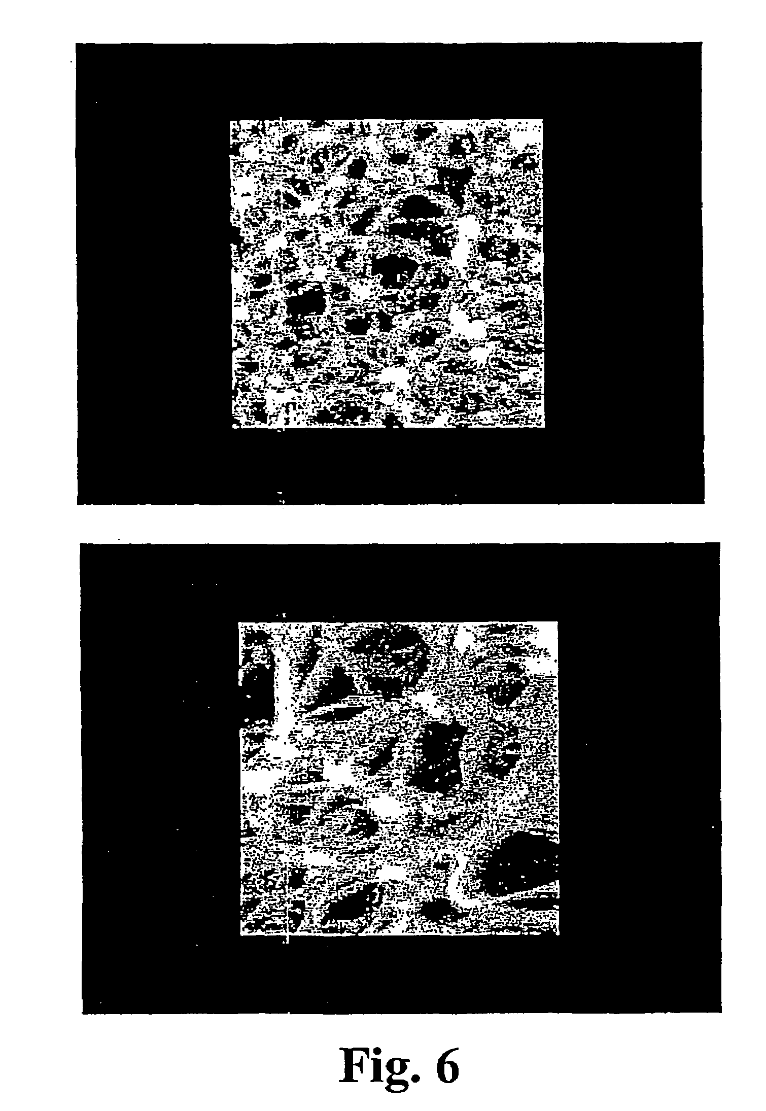 Asymmetric gel-filled microporous membranes