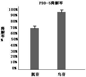 Hematuria-reducing lactic acid bacteria strain and screening method and application thereof in preparation of functional yoghourt