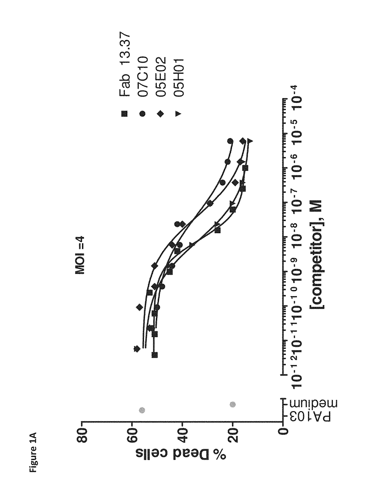 Pseudomonas aeruginosa pcrv binding single variable domain antibodies