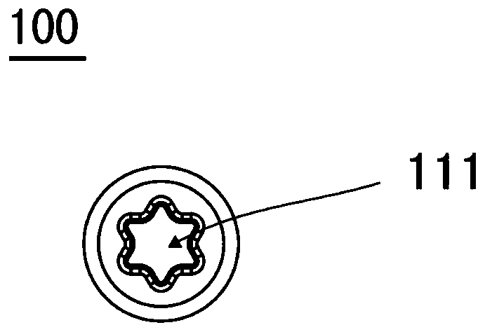 Screw assembly for bone fixation and bone fixing device