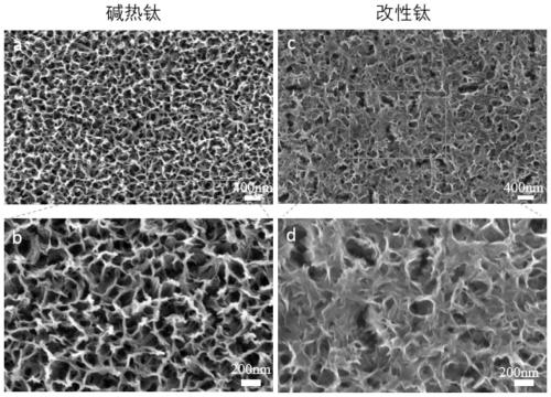 Long-acting renewable antibacterial coating on surface of titanium implant