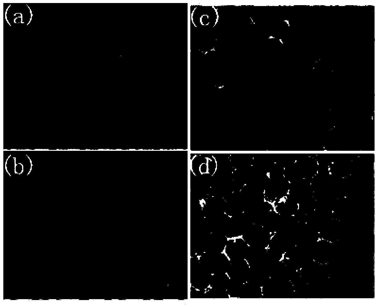 A preparation method of ferromagnetic nanoparticles grafted on the surface of polyglycidol