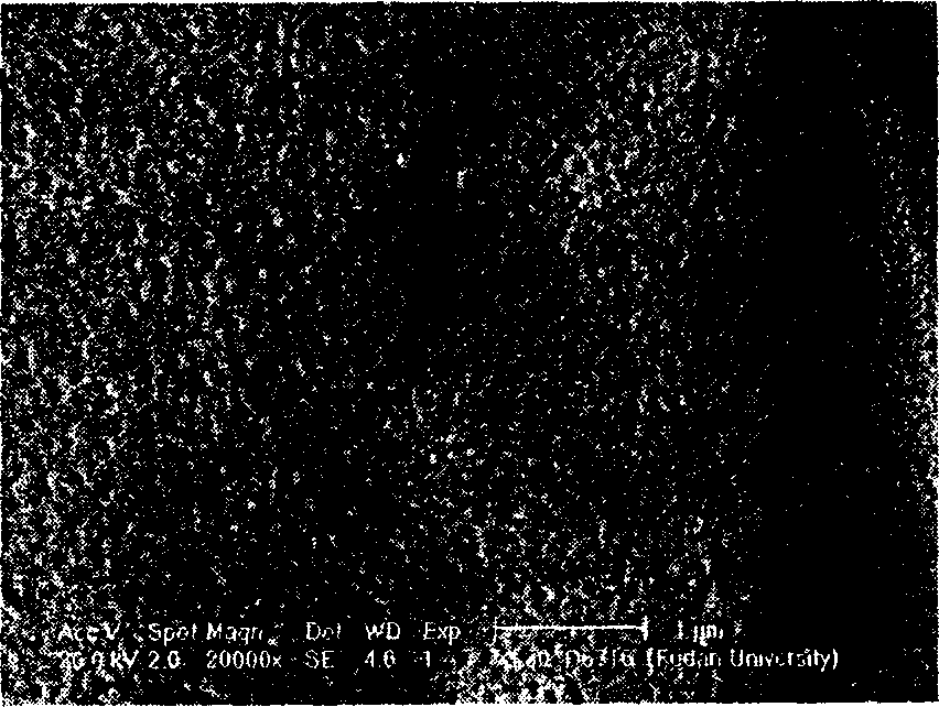 Transplantable ultrathin nano-porous gold film and method for preparing the same