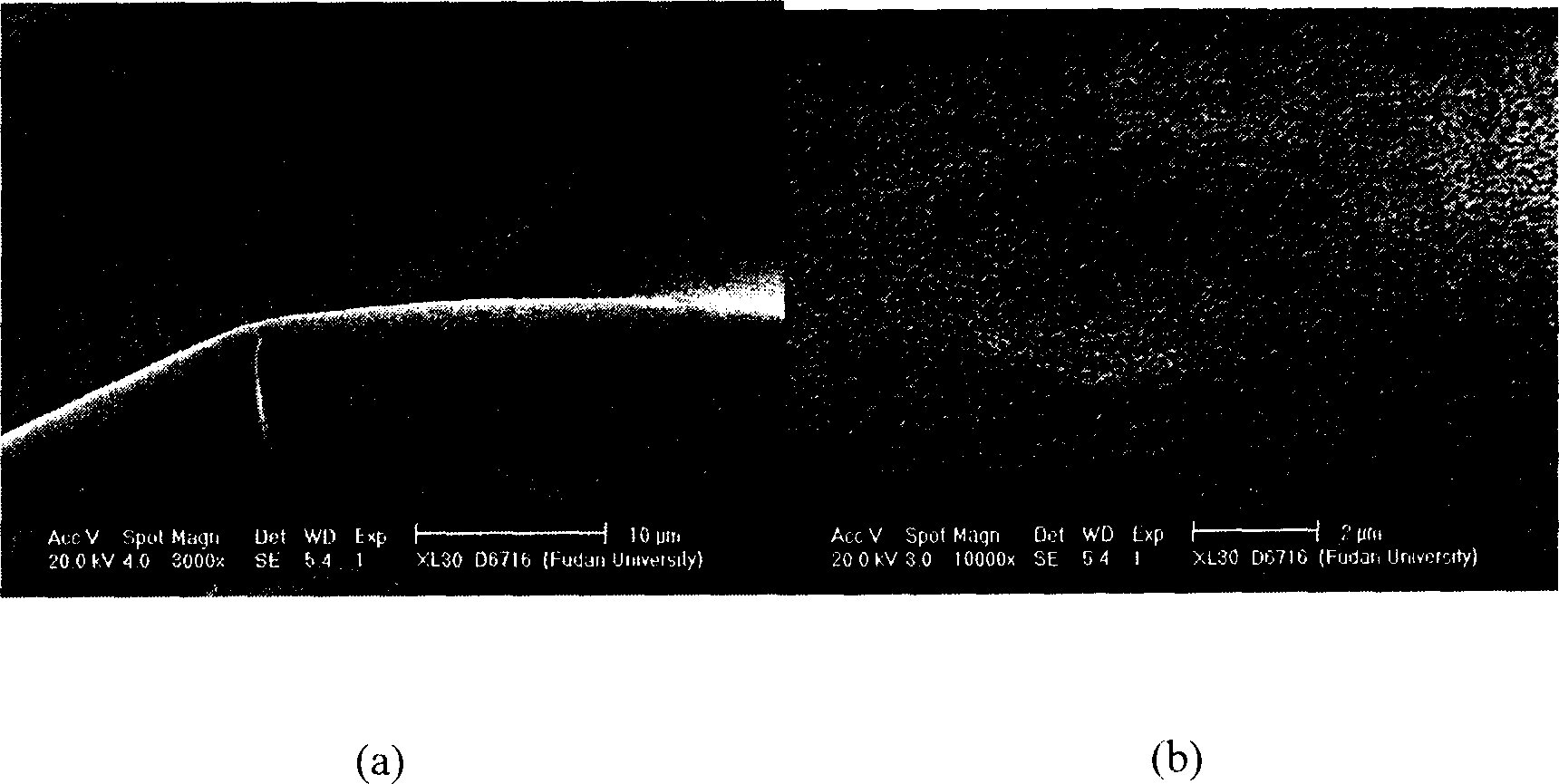 Transplantable ultrathin nano-porous gold film and method for preparing the same