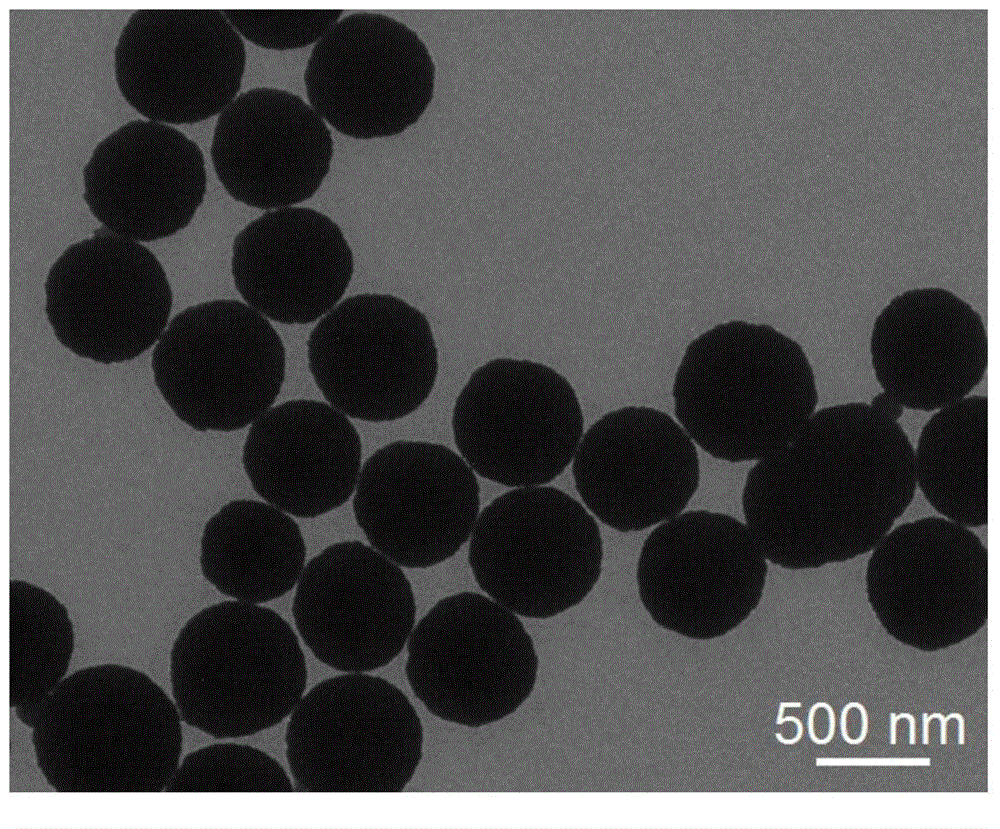 Magnetic multistage nuclear @ shell structure nano-palladium catalyst and preparation method thereof