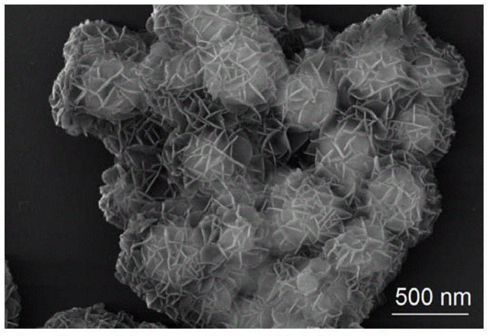 Magnetic multistage nuclear @ shell structure nano-palladium catalyst and preparation method thereof