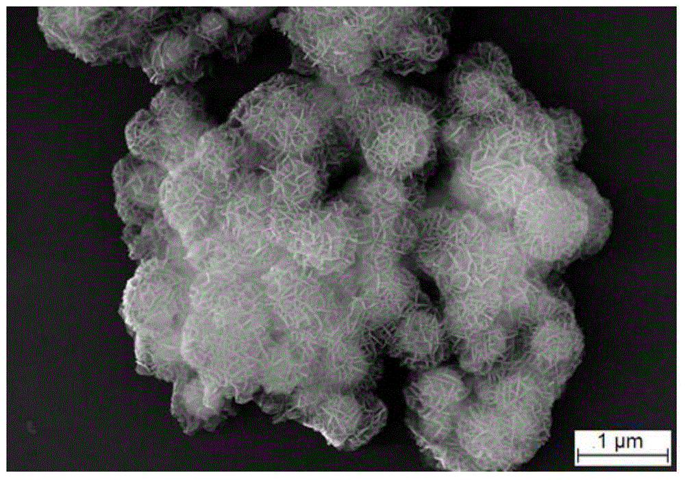 Magnetic multistage nuclear @ shell structure nano-palladium catalyst and preparation method thereof