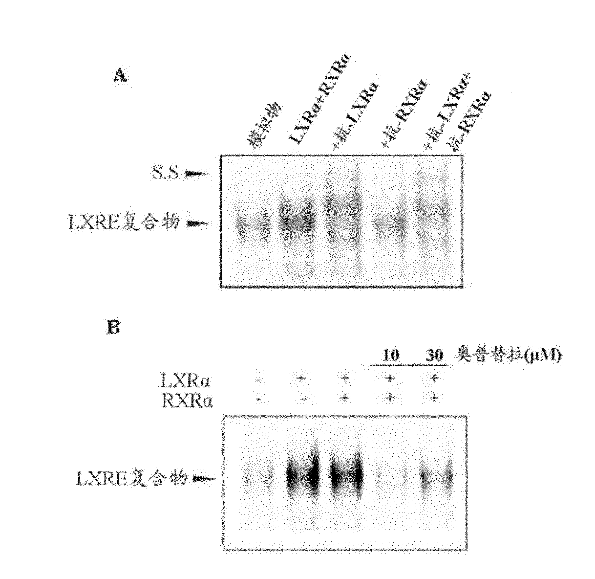 Pharmaceutical composition containing 1, 2-dithiolthione derivative for preventing or treating disease caused by overexpression of LXR-alpha