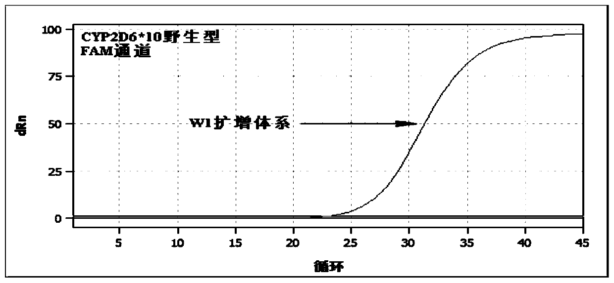 Kit for detecting polymorphism of hypertension medication related genes