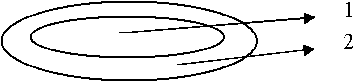 Preparation method of pharmaceutical composition for treating type II diabetes