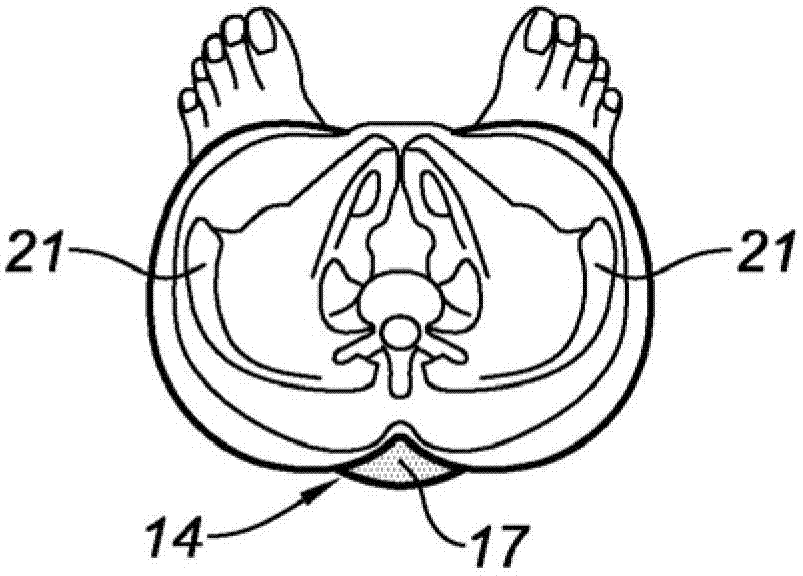 Lumbar support belt