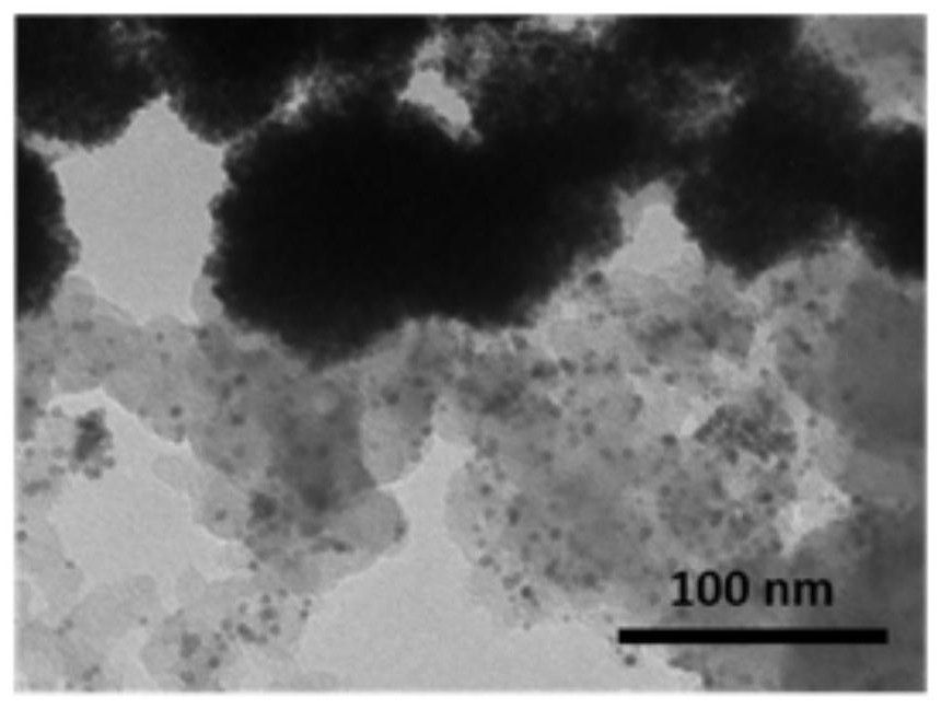 Fuel cell cathode catalyst and preparation method thereof, membrane electrode and fuel cell