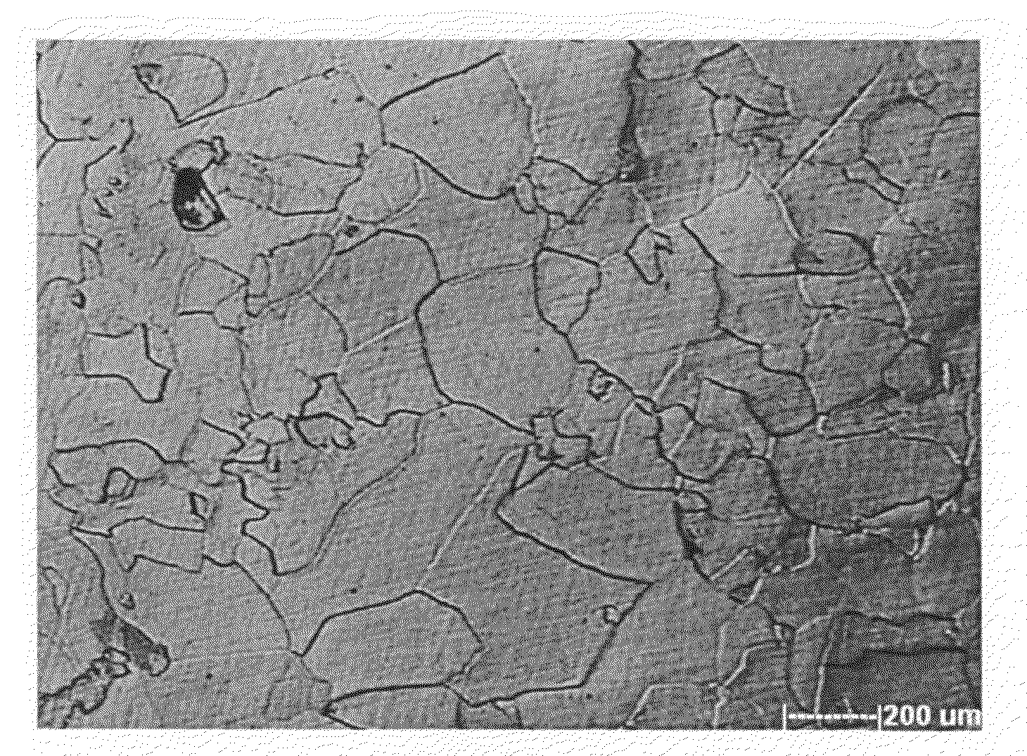 Copper-gallium allay sputtering target, method for fabricating the same and related applications