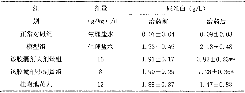 Capsule for treatment of nephrotic syndrome