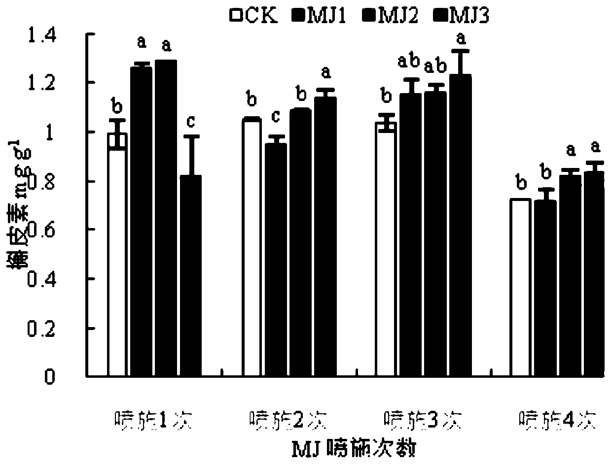 Method for inducing flavonoids and terpene lactones to accumulate in plant leaves by using methyl jasmonate and application