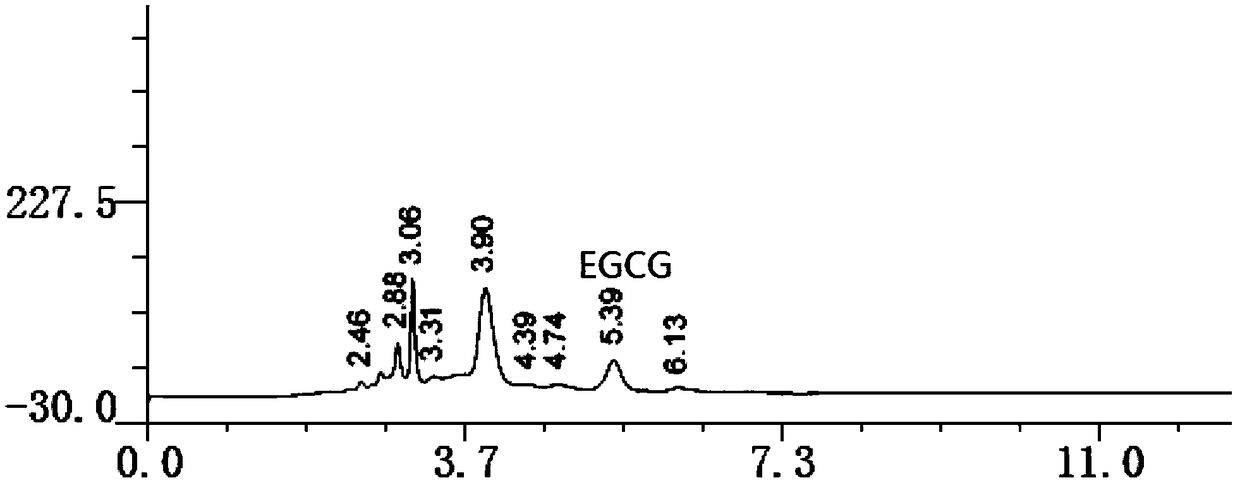 A kind of preparation method of high-purity EGCG