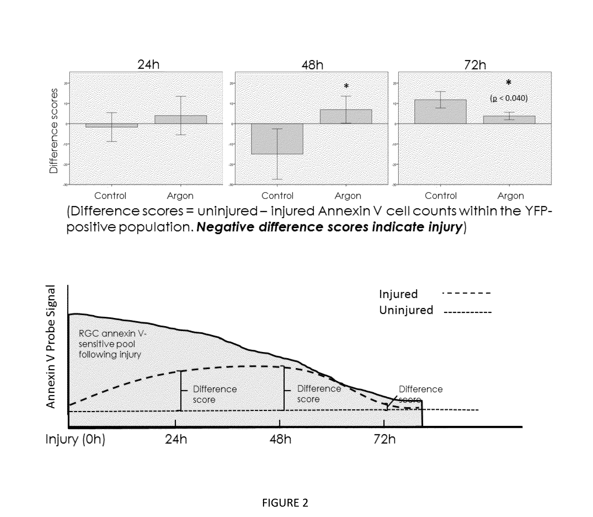 Non-anesthetic protective gases in combination with liquid anesthetic agents for organ protection