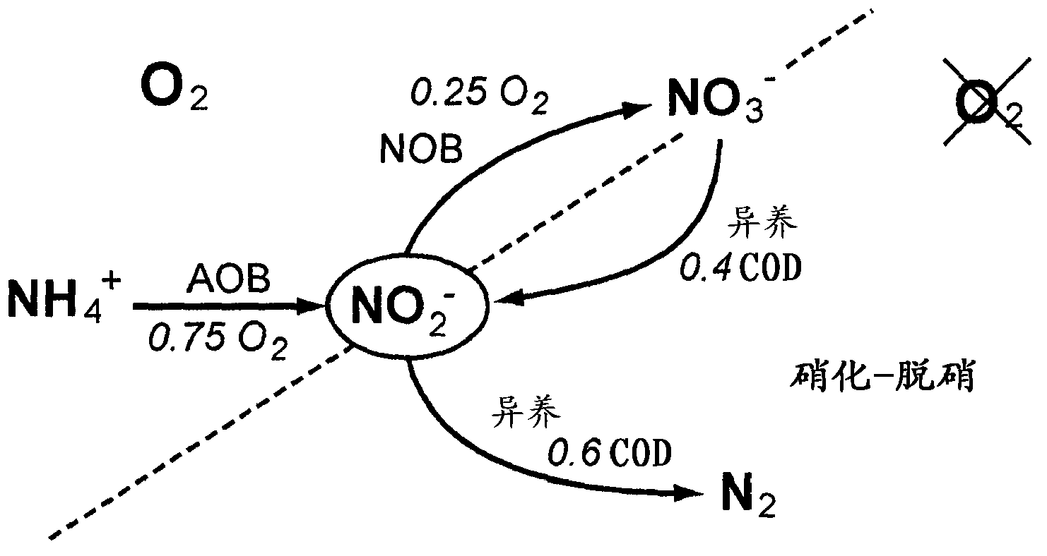 Method for treating water within a sequencing batch reactor, including an in-ine measurement of the nitrite concentration