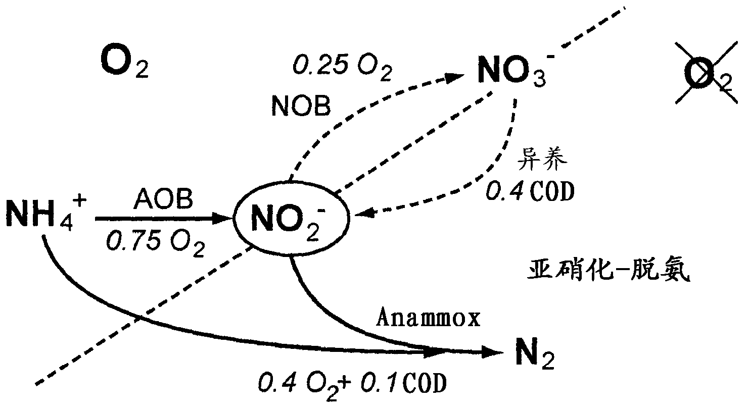 Method for treating water within a sequencing batch reactor, including an in-ine measurement of the nitrite concentration