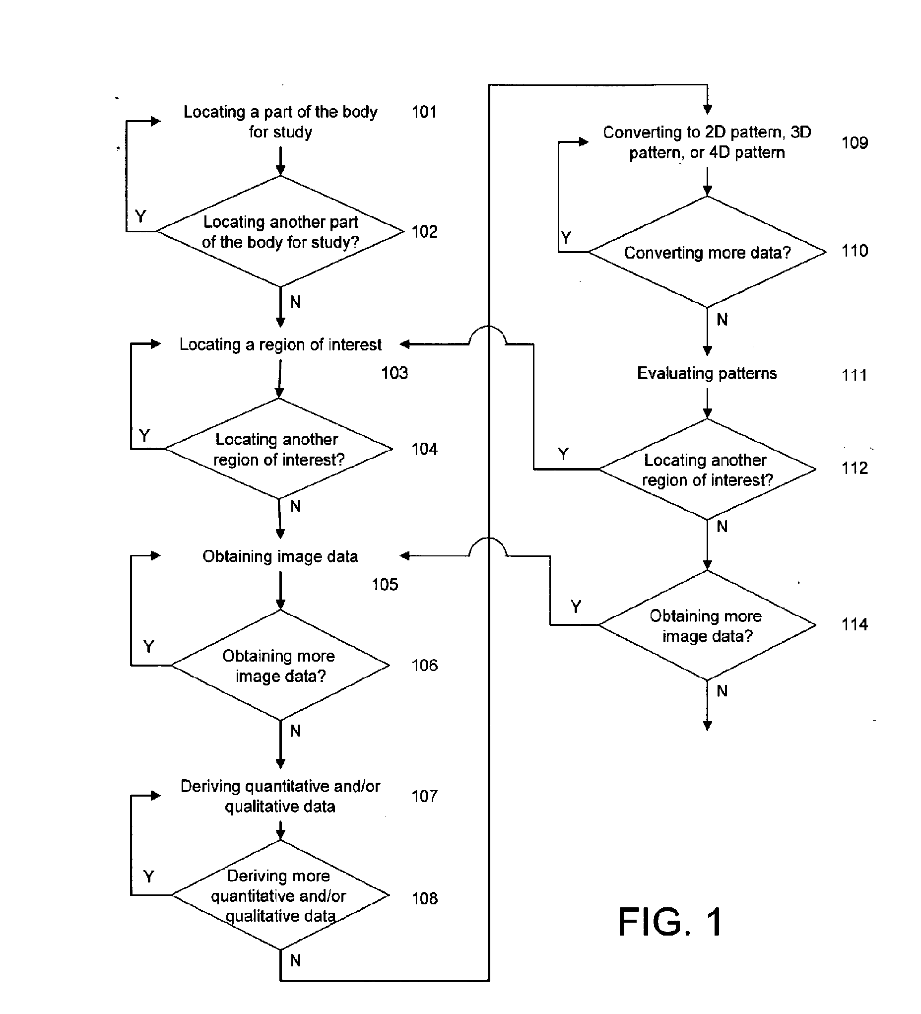 System and Method for Predicting Future Fractures