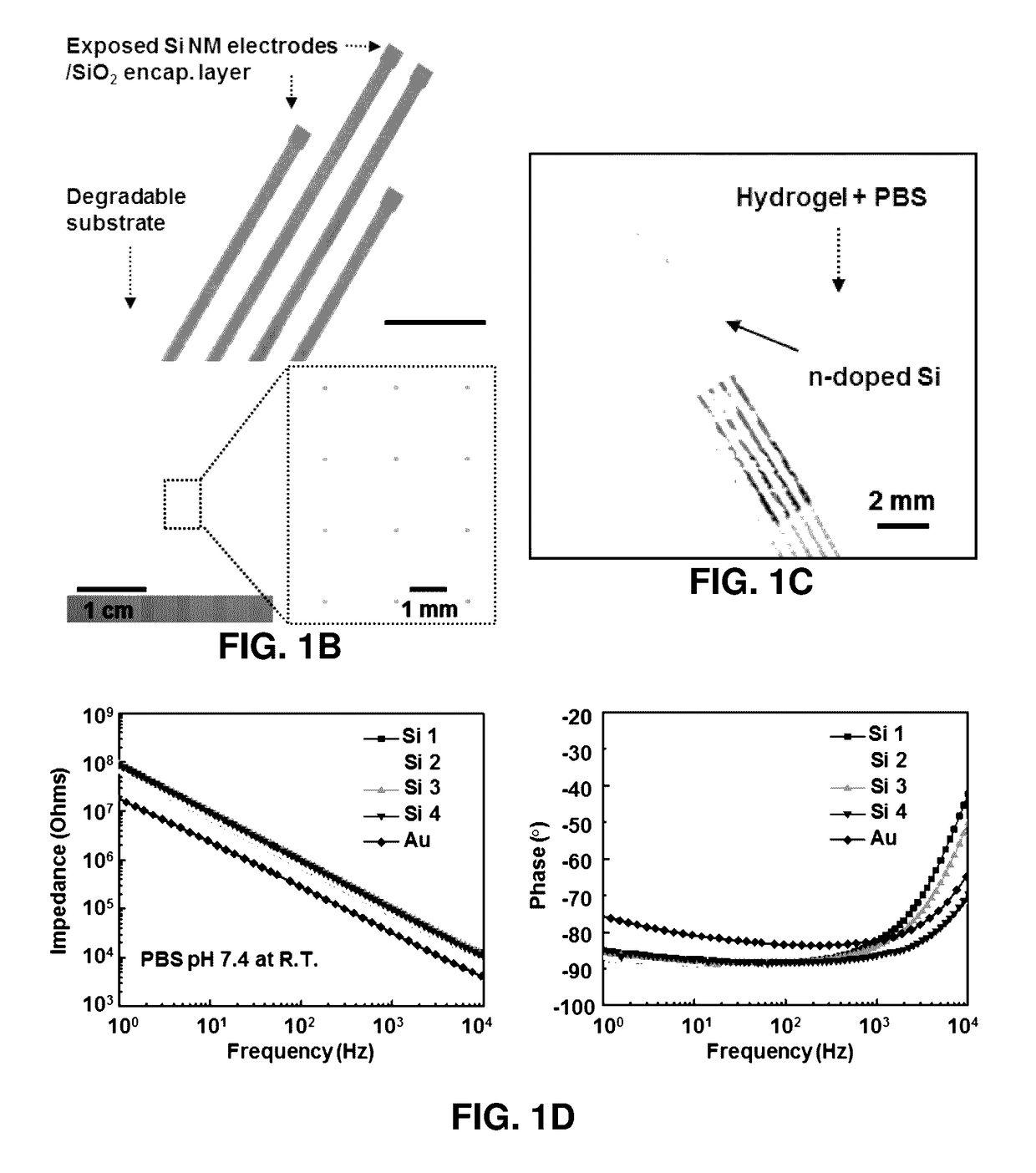 Bioresorbable Silicon Electronics for Transient Implants