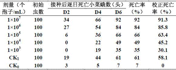 Isaria fumosorosea wettable powder as well as preparation method and application thereof