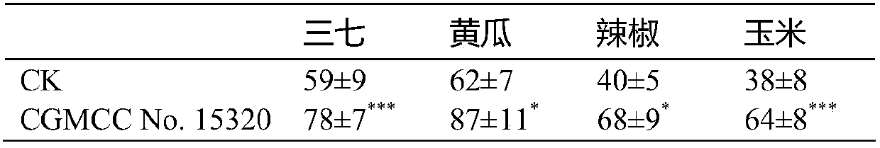 Bacterial strain with plant soil-borne disease resisting effect and application thereof