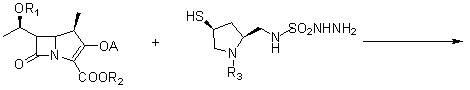 Novel process for preparing doripenem