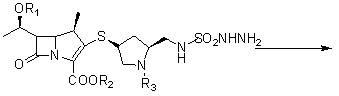 Novel process for preparing doripenem