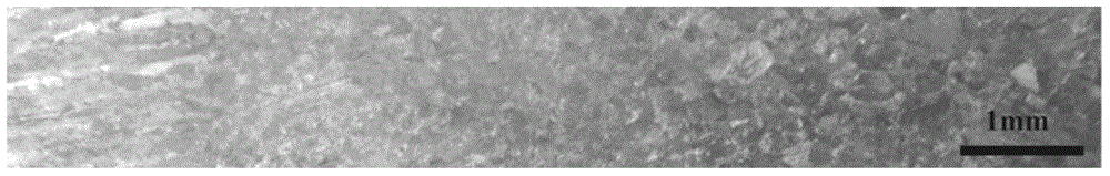 Method for establishing FDTD (Finite Difference Time Domain) ultrasonic detection simulation model of coarse crystal material based on EBSD (Electron Back-Scattered Diffraction) spectrum