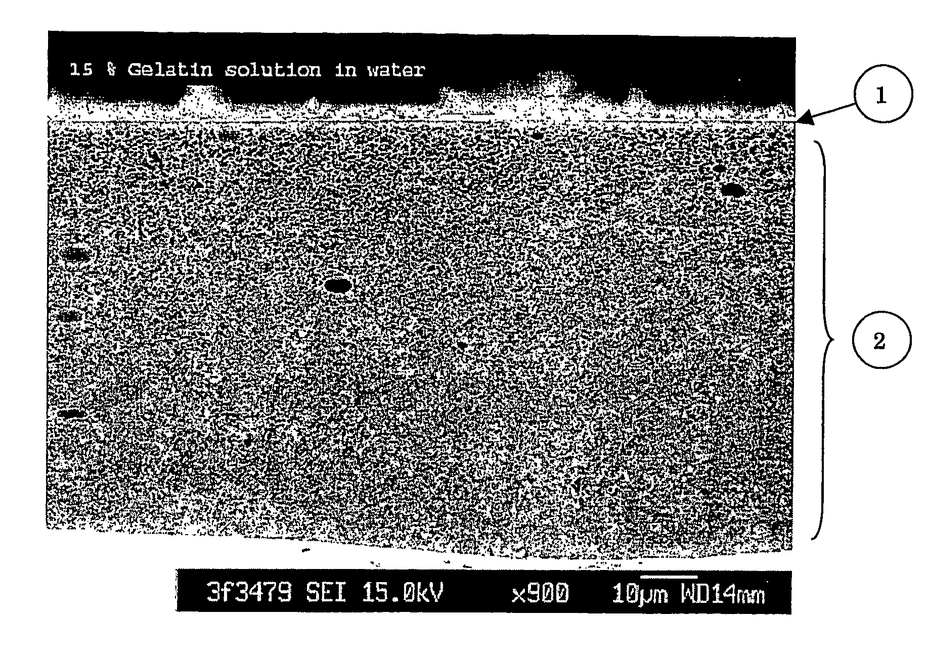 Ink-jet recording medium