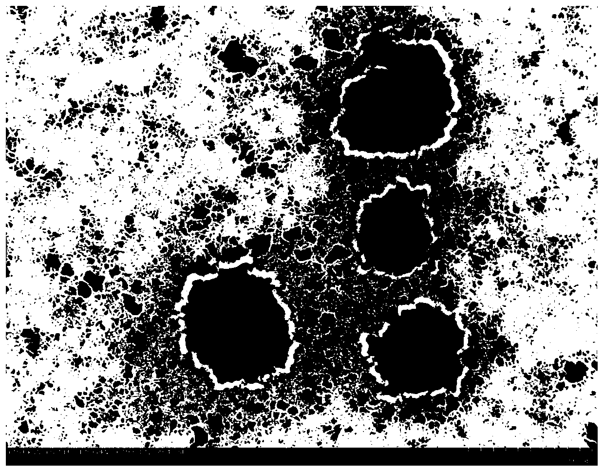 Probiotics liposome and preparation method thereof