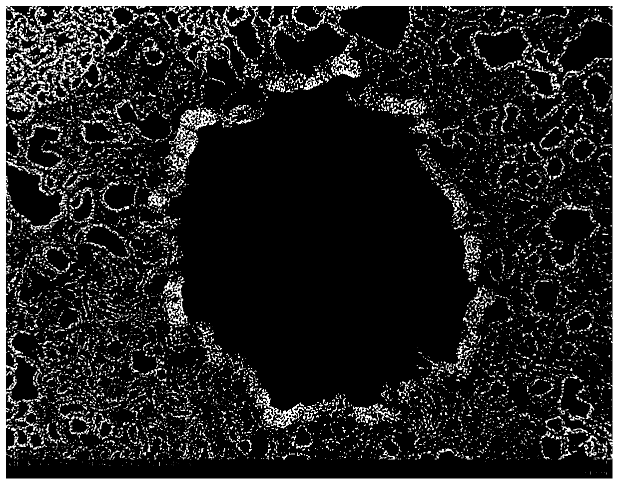 Probiotics liposome and preparation method thereof