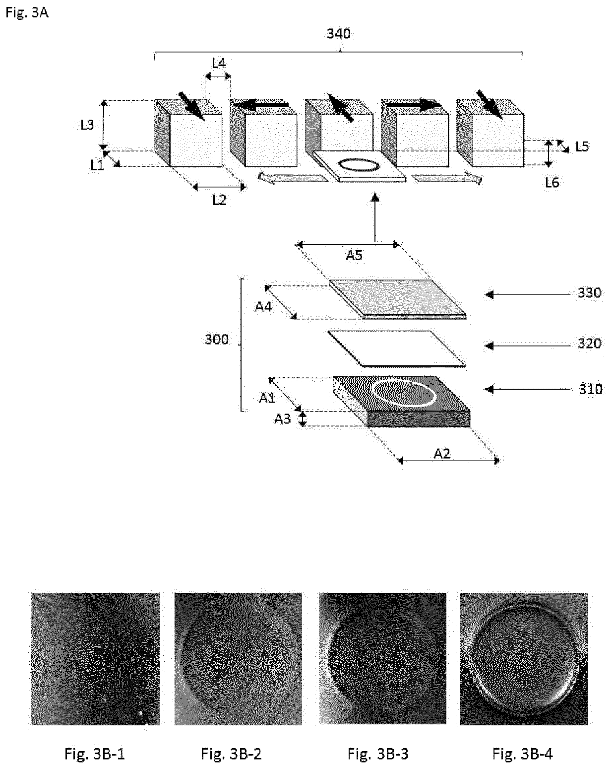 Processes for producing effect layers