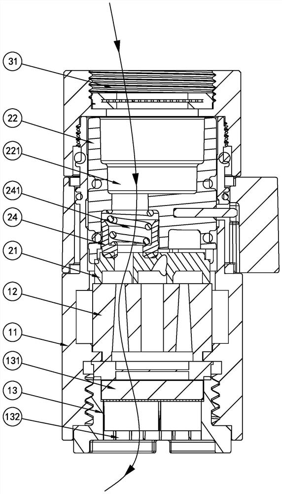 Multifunctional water nozzle and water outlet device