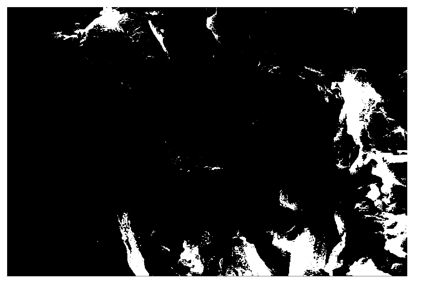 Method for preparing reducing sugar from material containing cellulose