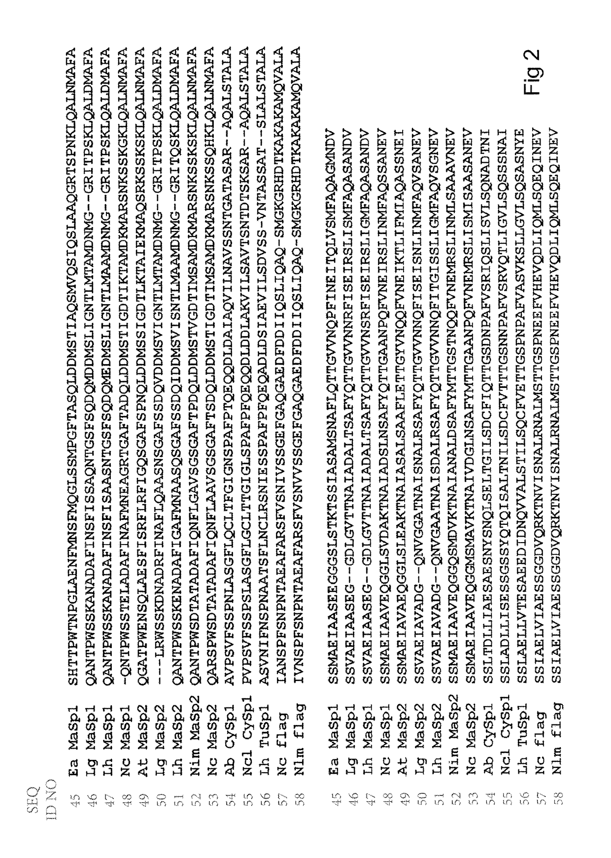 Spider silk fusion protein structures incorporating immunoglobulin fragments as affinity ligands