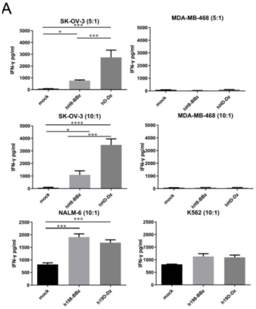 Chimeric antigen receptor and use thereof