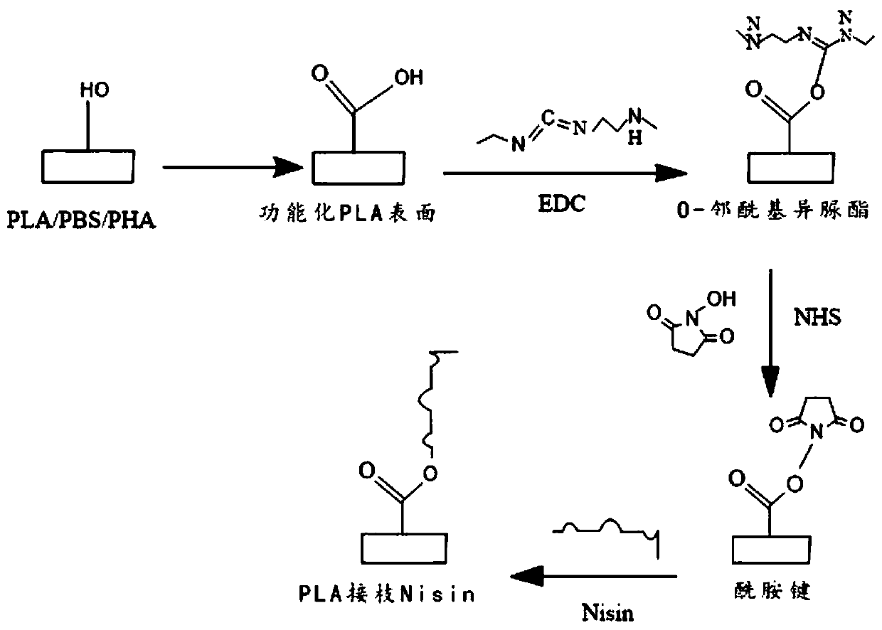 Grafted antibacterial degradable fresh-keeping film, and preparation method and application thereof