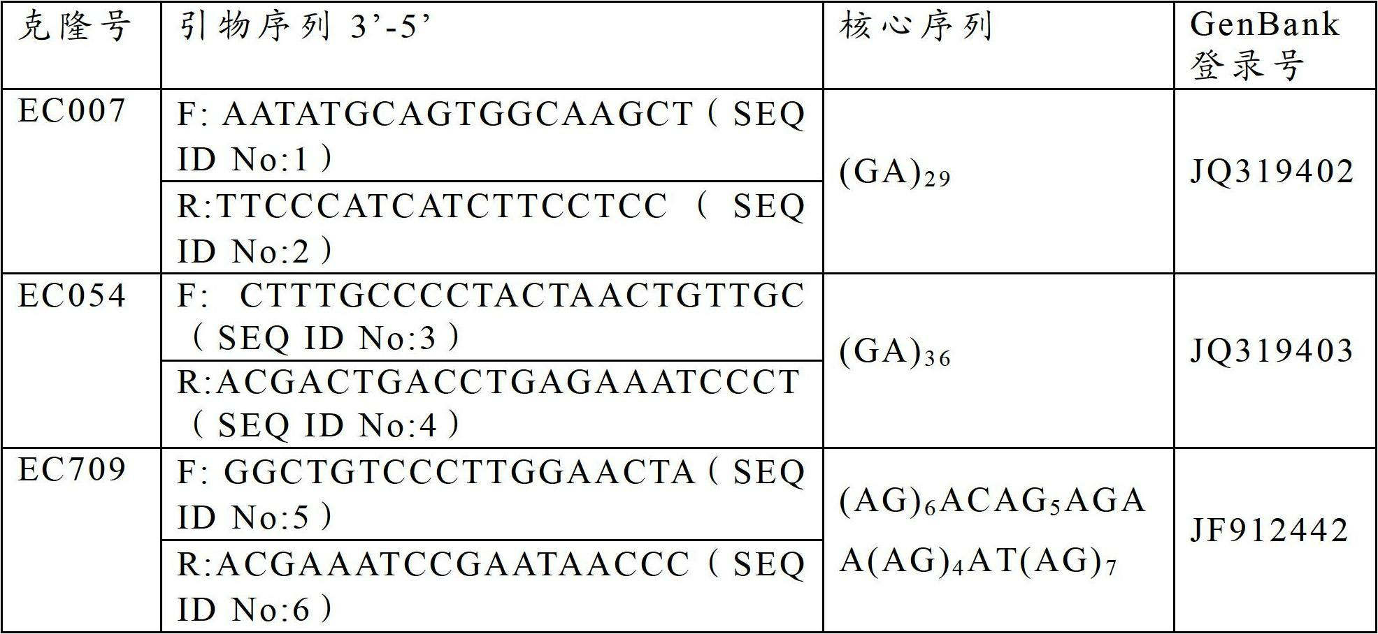 Triple-PCR (Polymerase Chain Reaction) detection method for exopalaemon carinicauda by using microsatellite mark