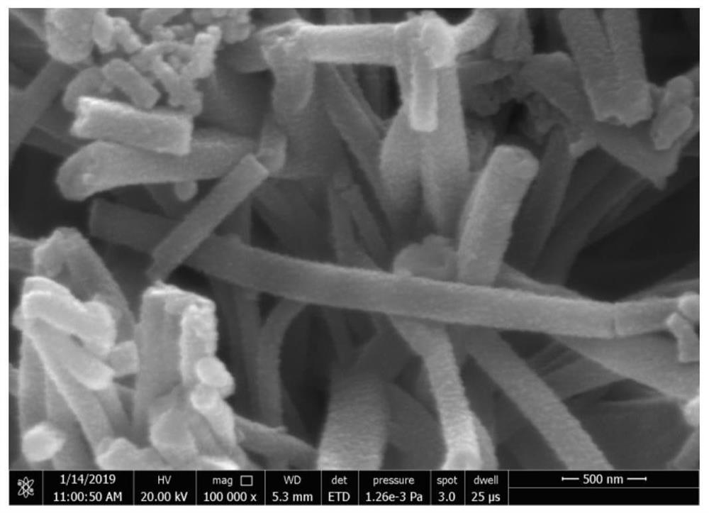 Preparation method of stannic oxide/polyaniline nanowire composite photocatalyst