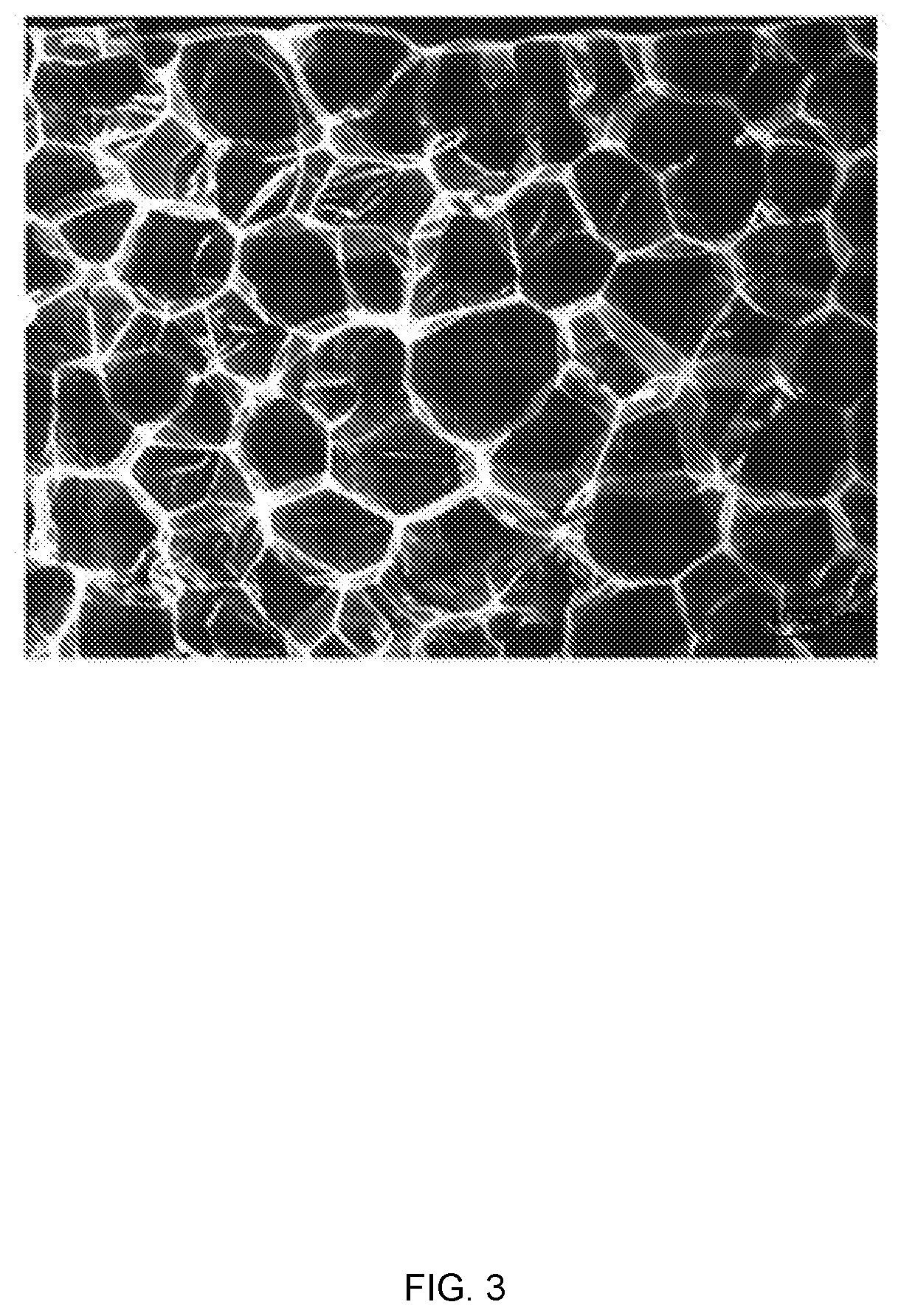 Method and formulation for renewable polyethylene foams