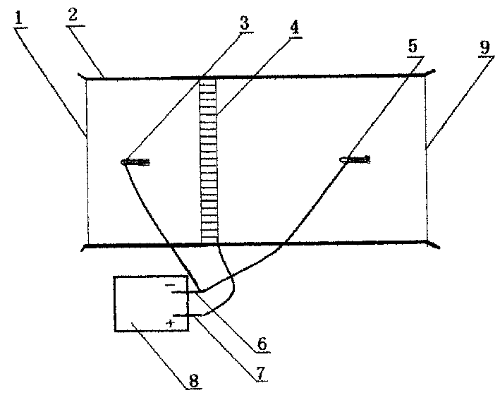 Anionic wind generation apparatus