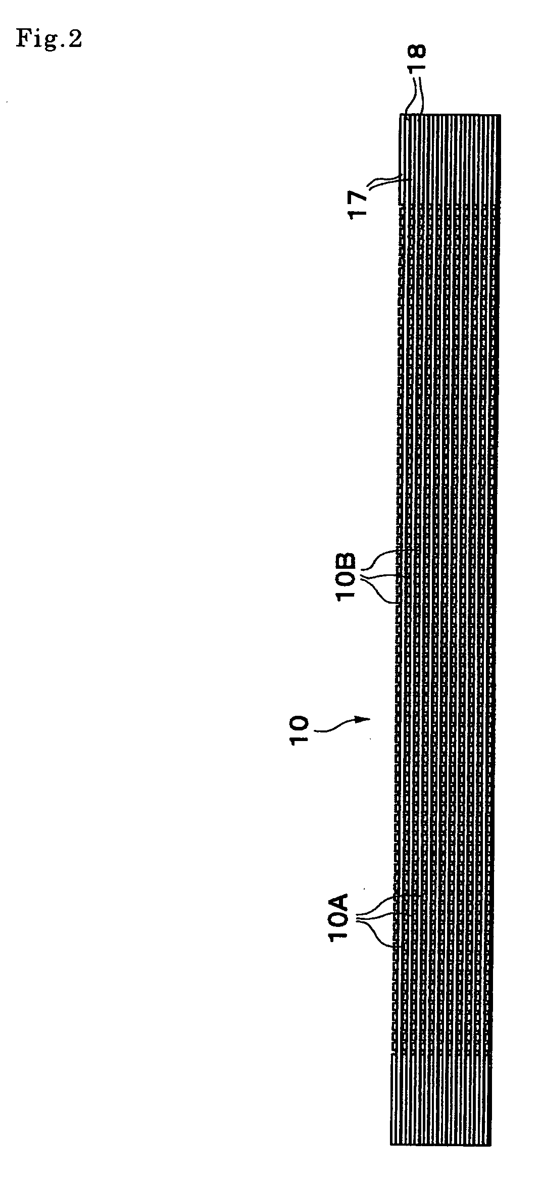 Separator and fuel cell using that separator